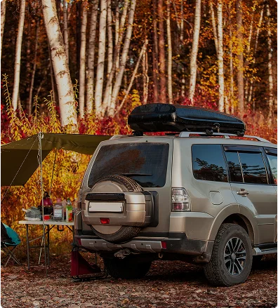 THE GREAT OUTDOORS